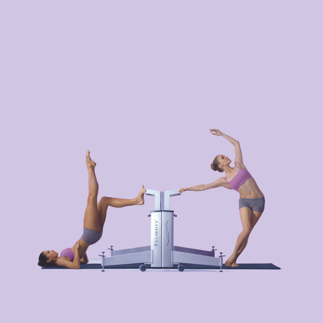 The Dual Deluxe Fluidity Stability Home Barre System
