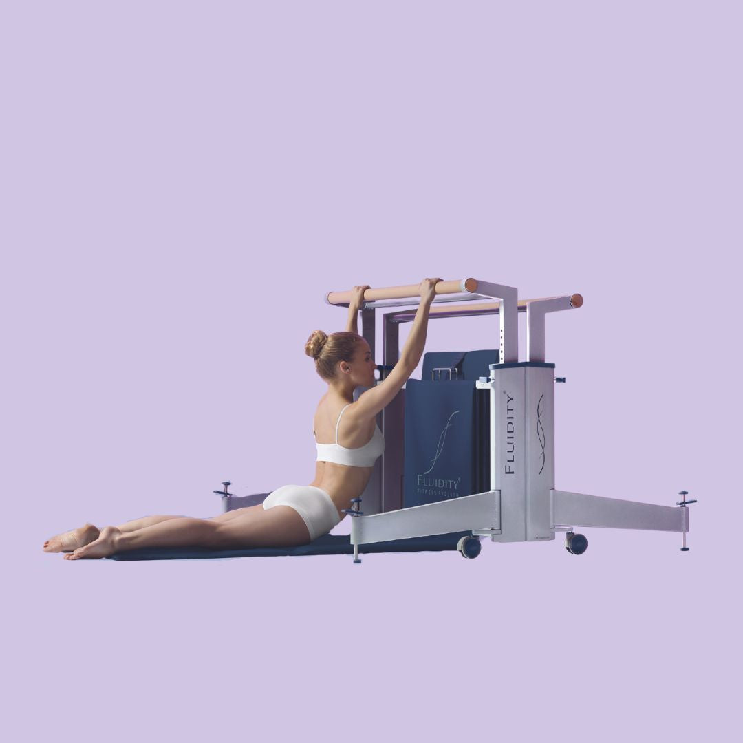The Dual Deluxe Fluidity Stability Home Barre System