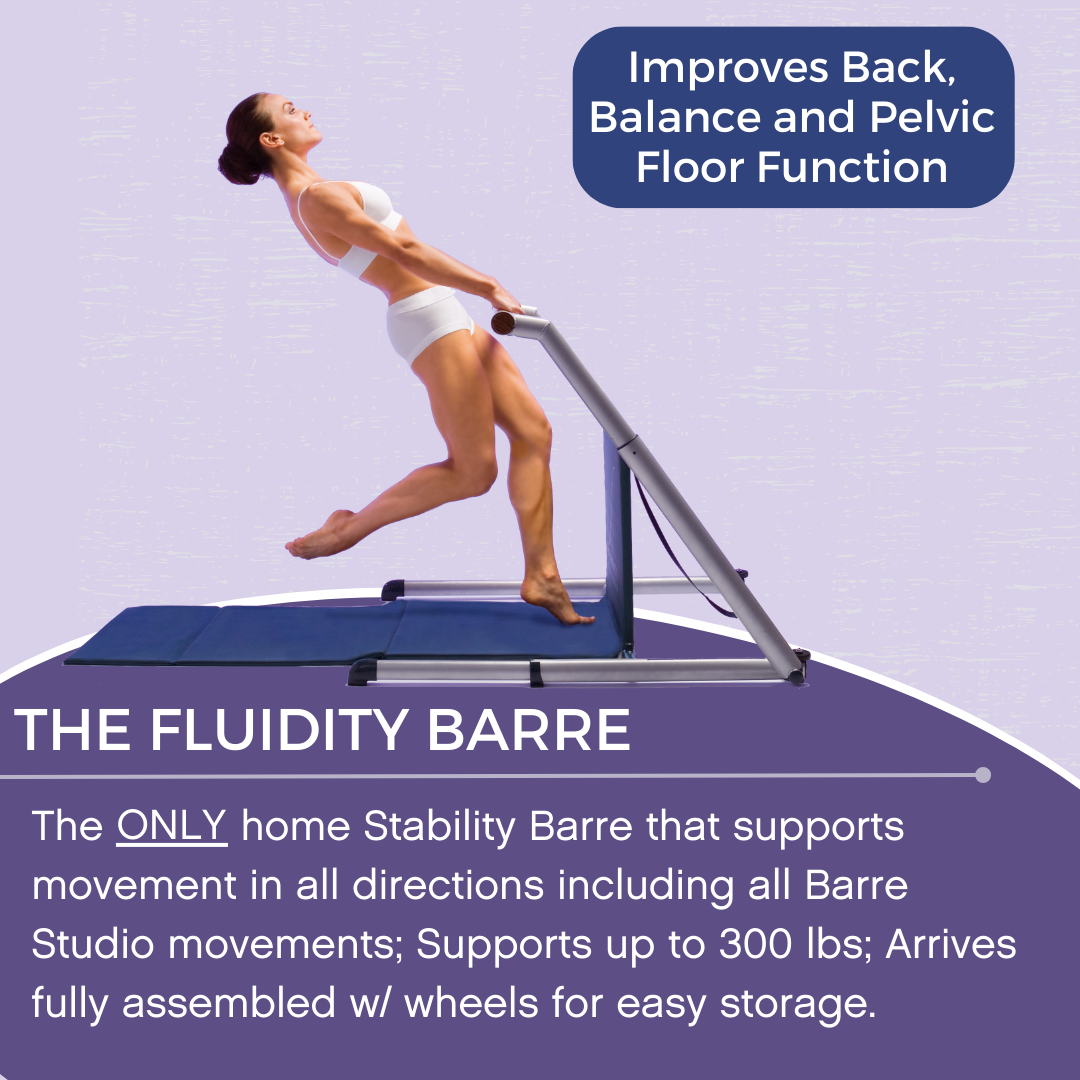 The Original Fluidity Stability Home Barre System