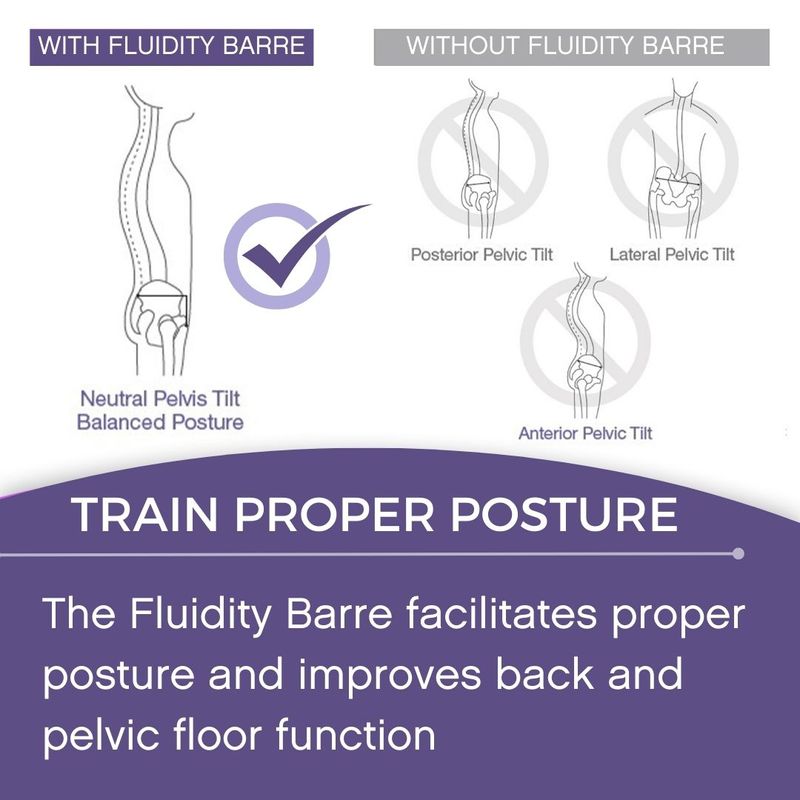 The Original Fluidity Stability Home Barre System
