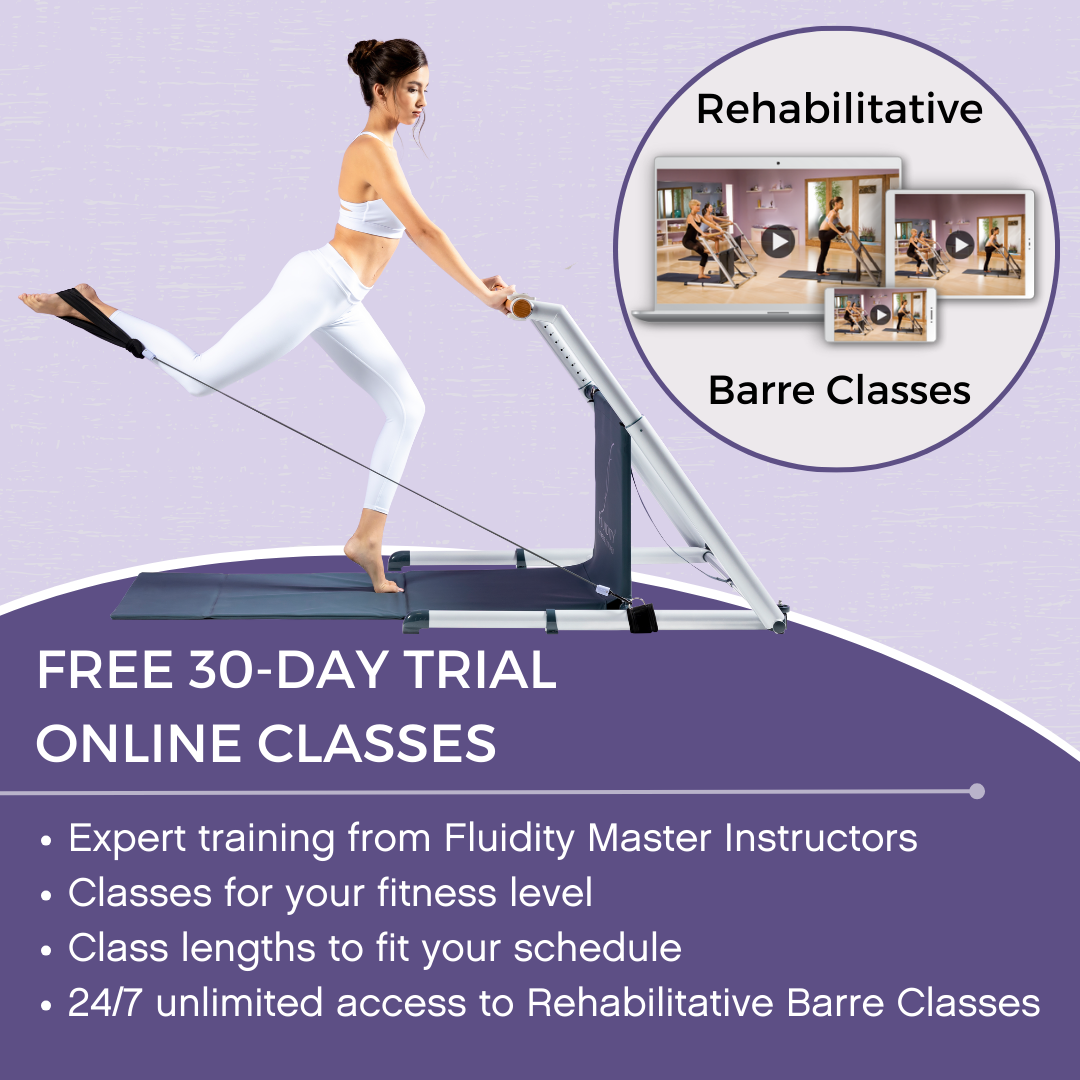 The Original Fluidity Stability Home Barre System