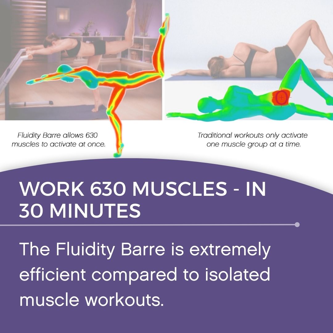 The Original Fluidity Stability Home Barre System